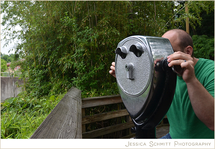 pittsburgh-pa-zoo-viewfinder Pittsburgh Zoo