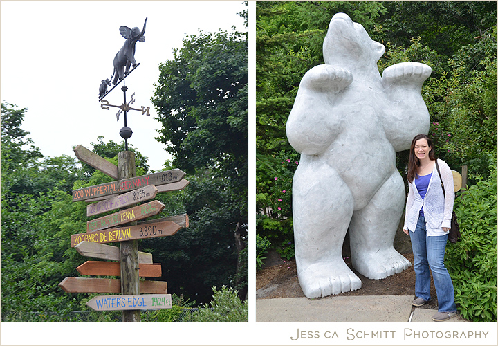 pittsburgh-zoo-ppg-aquarium-polar-bear Zoo