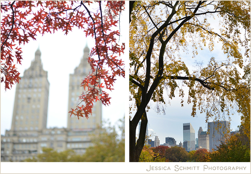 central-park-fall-foliage-photography-trees Autumn in Central Park fall foliage NYC