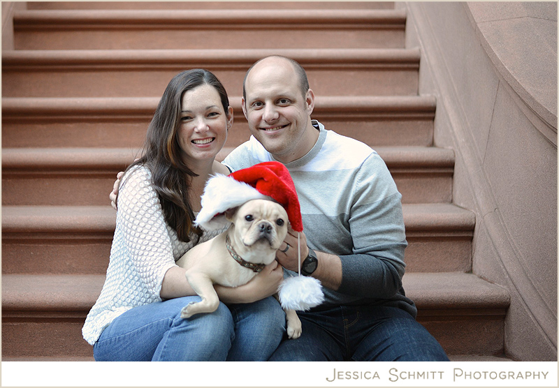 french-bulldog-fawn-christmas French Bulldog dog christmas portrait