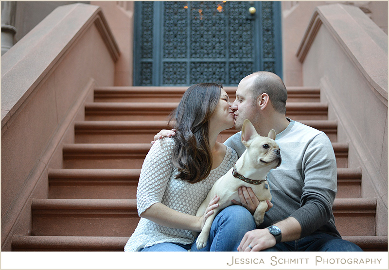 french-bulldog-nyc-dog brownstone nyc french bulldog