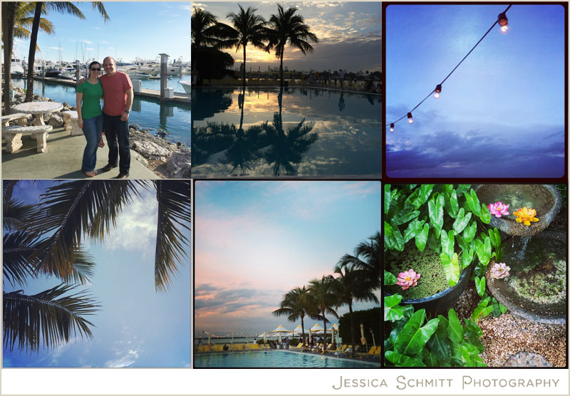 instagram-standard-hotel-miami instagram standard hotel miami beach