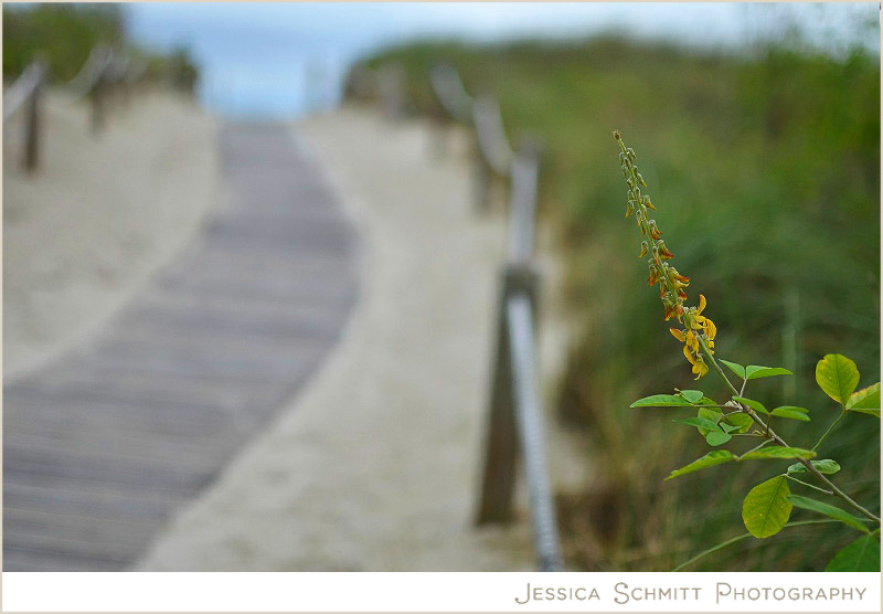 miami-flower-south-beach Miami South beach ocean walkway