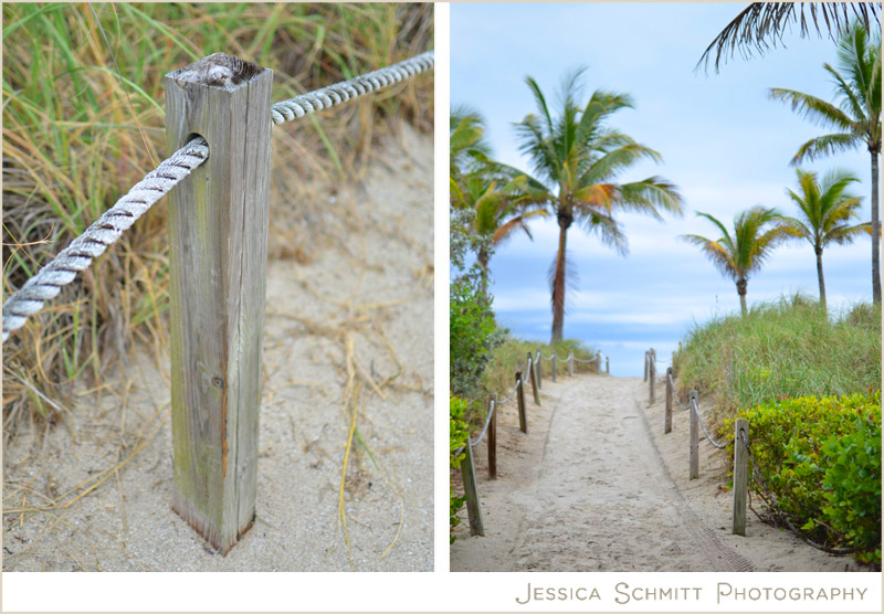 miami-ocean-palms-south-beach-florida Miami beach trip sand palm trees