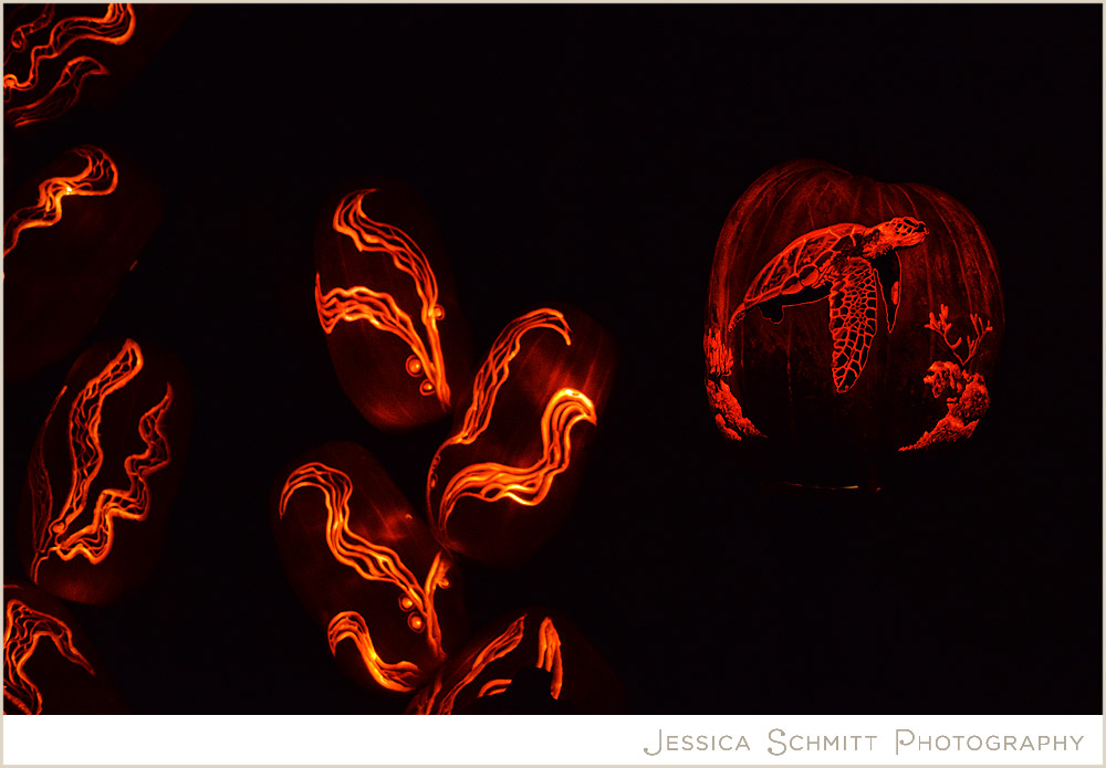 boo-at-the-zoo-bronx-zoo-pumpkins boo at the zoo, bronx zoo, halloween, pumpkins, lanterns