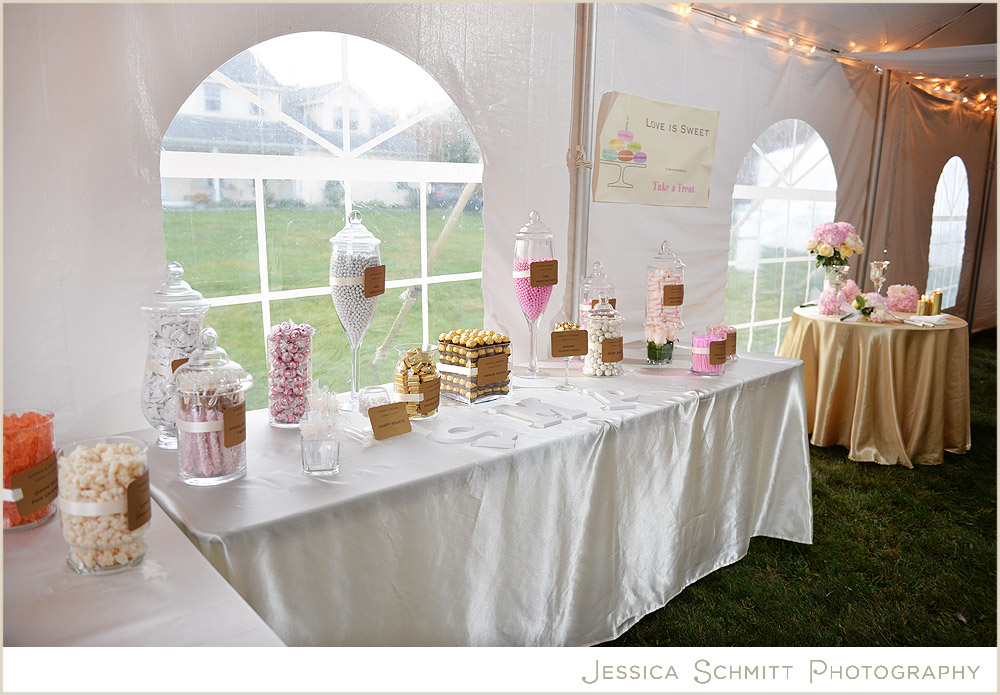 candy-bar-wedding candy bar wedding pink