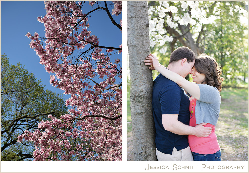 cherry-blossom-engagement Cherry Blossom Washington DC engagement photography