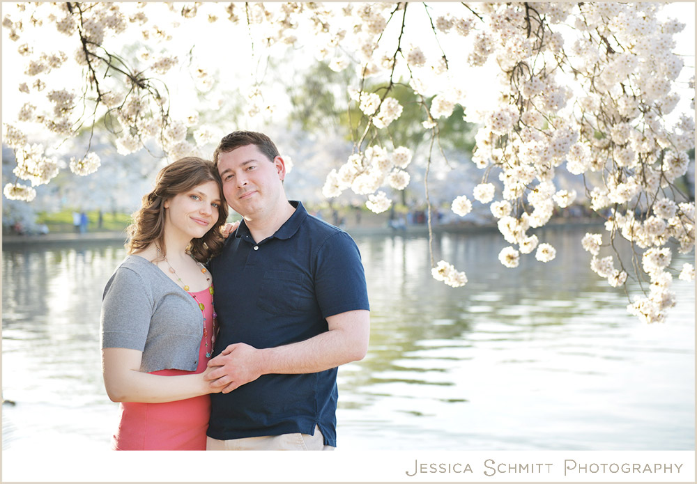 cherry-blossoms-dc-engagement Cherry Blossom Washington DC engagement photography