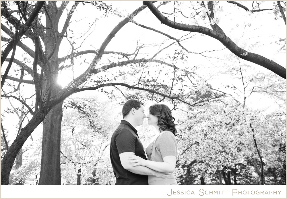 cherry-blossoms-engagement-dc Cherry Blossom Washington DC engagement photography