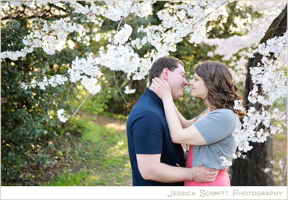 cherry-blossoms-engagement-photography Cherry Blossom Washington DC engagement photography