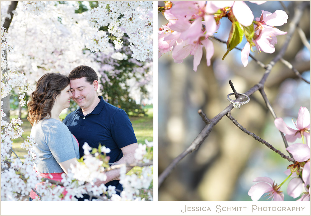 dc-cherry-blossom-engagement Cherry Blossom Washington DC engagement photography