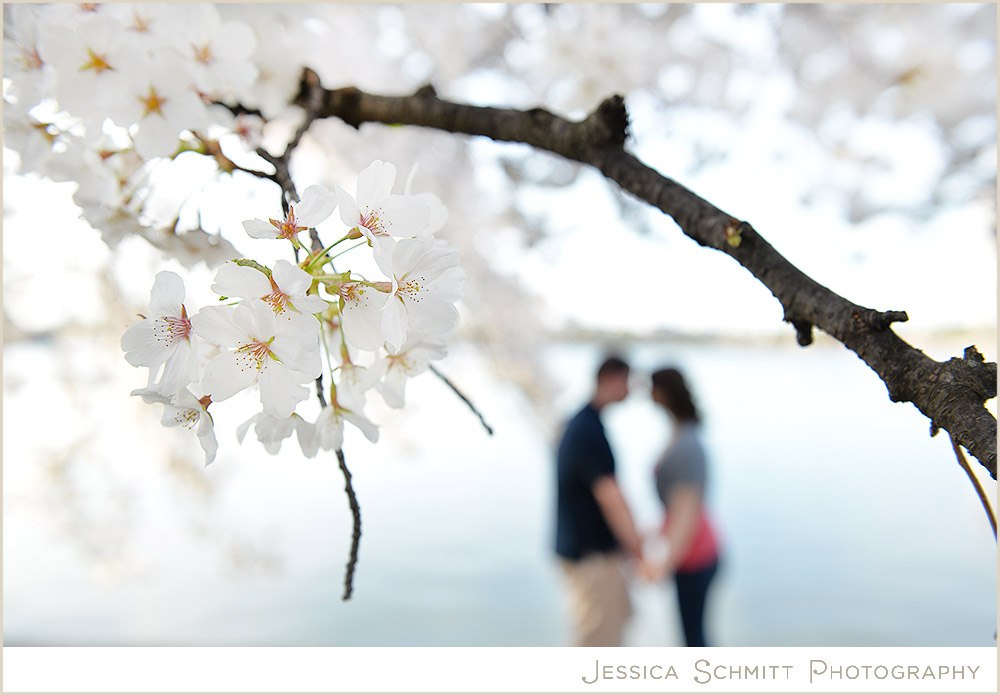 dc-cherry-blossoms-blur Cherry Blossom Washington DC engagement photography