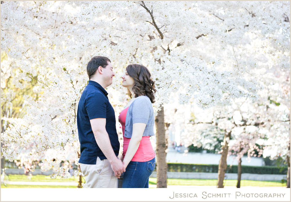 washington-dc-cherry-blossom-engagement Cherry Blossom Washington DC engagement photography