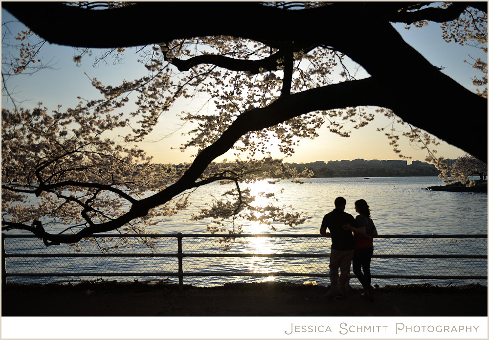 washington-dc-cherry-blossoms-sunset Cherry Blossom Washington DC engagement photography