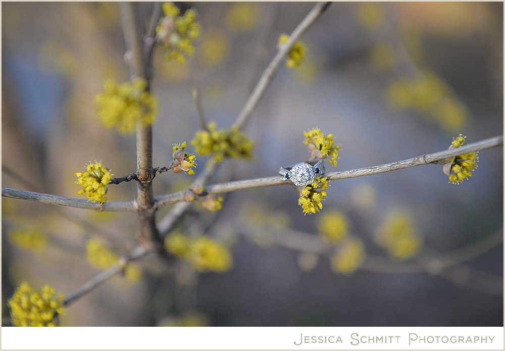 wedding-ring-saphires wedding ring saphires