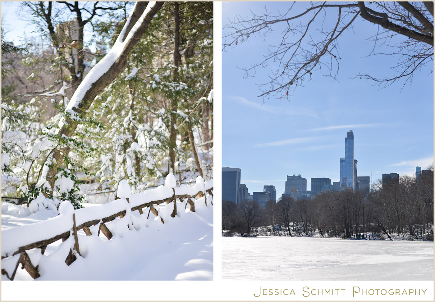 winter snow blizzard central park nyc