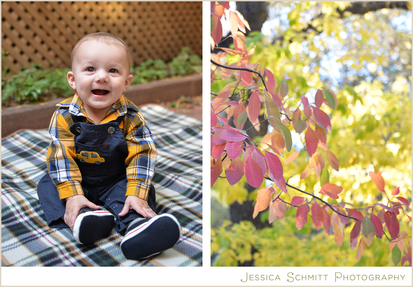 autumn baby portrait