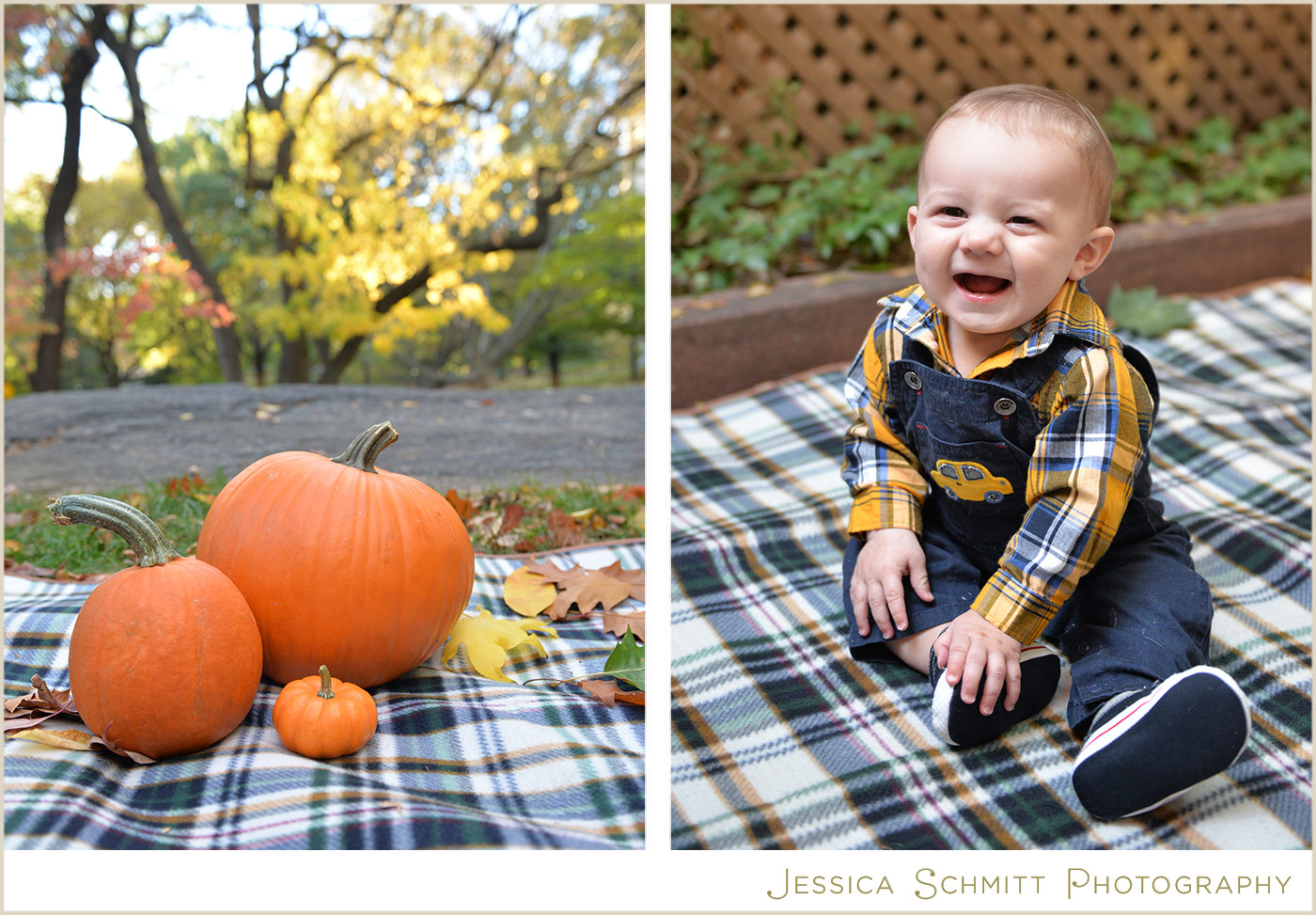 autumn baby portrait