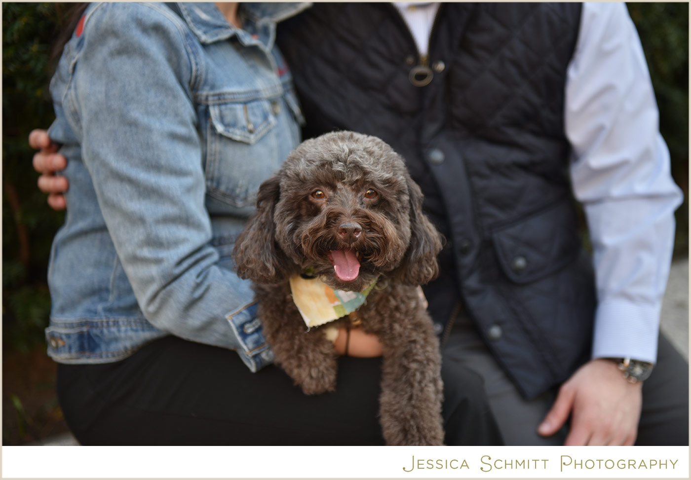 NYC engagement photography, union square, dog
