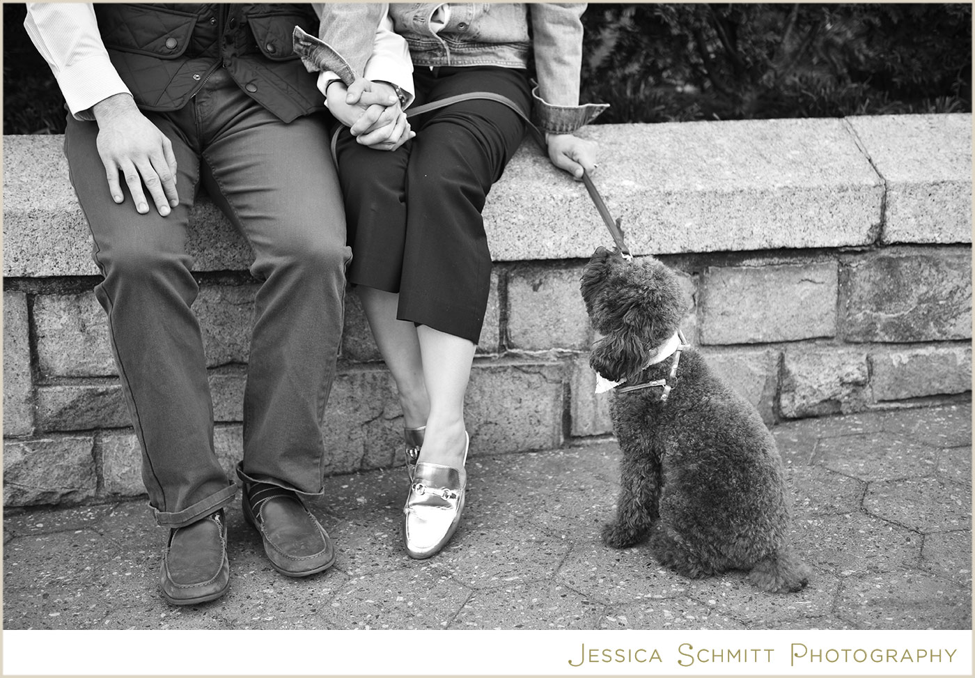 NYC engagement photography, union square, dog