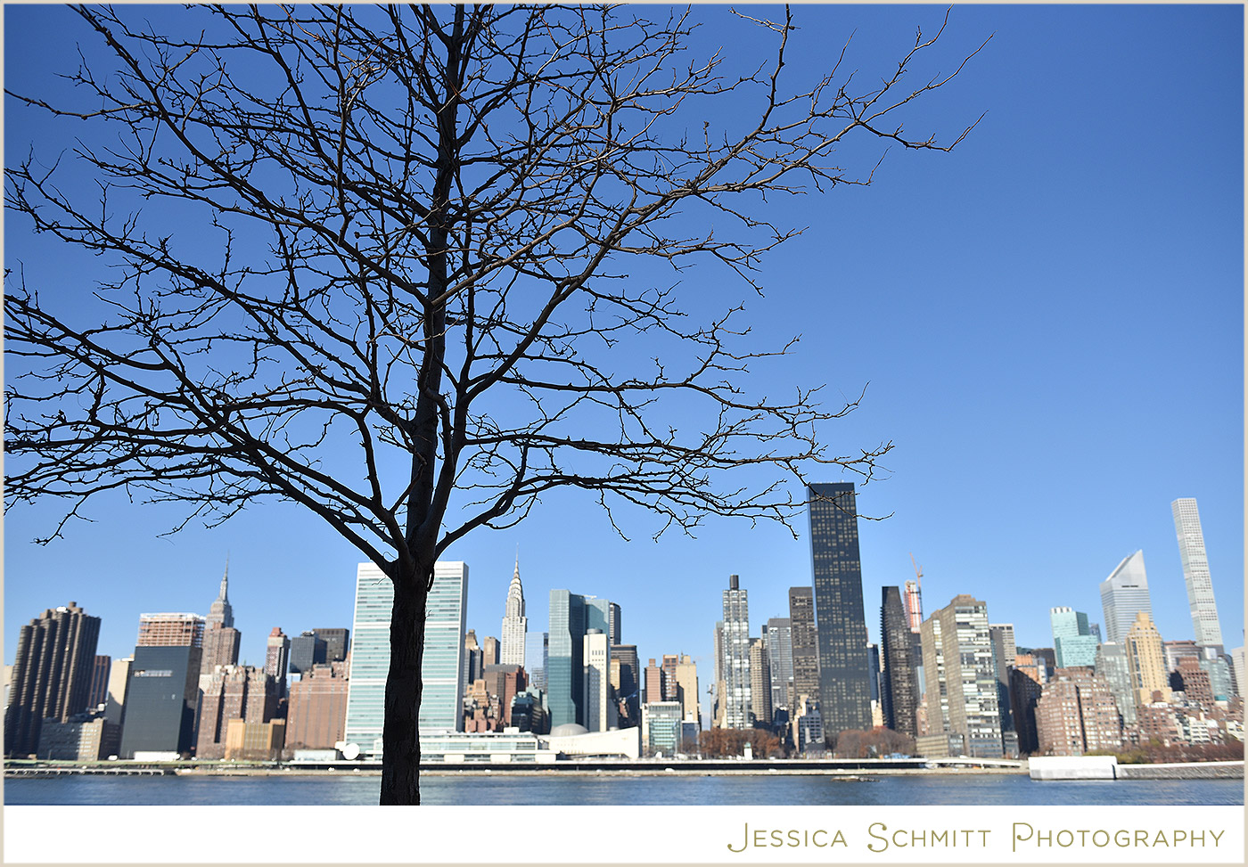 nyc family photography