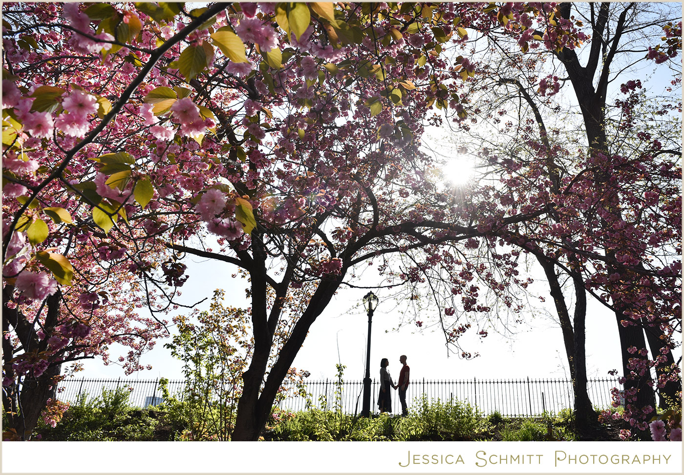 cherry blossom engagement photography nyc