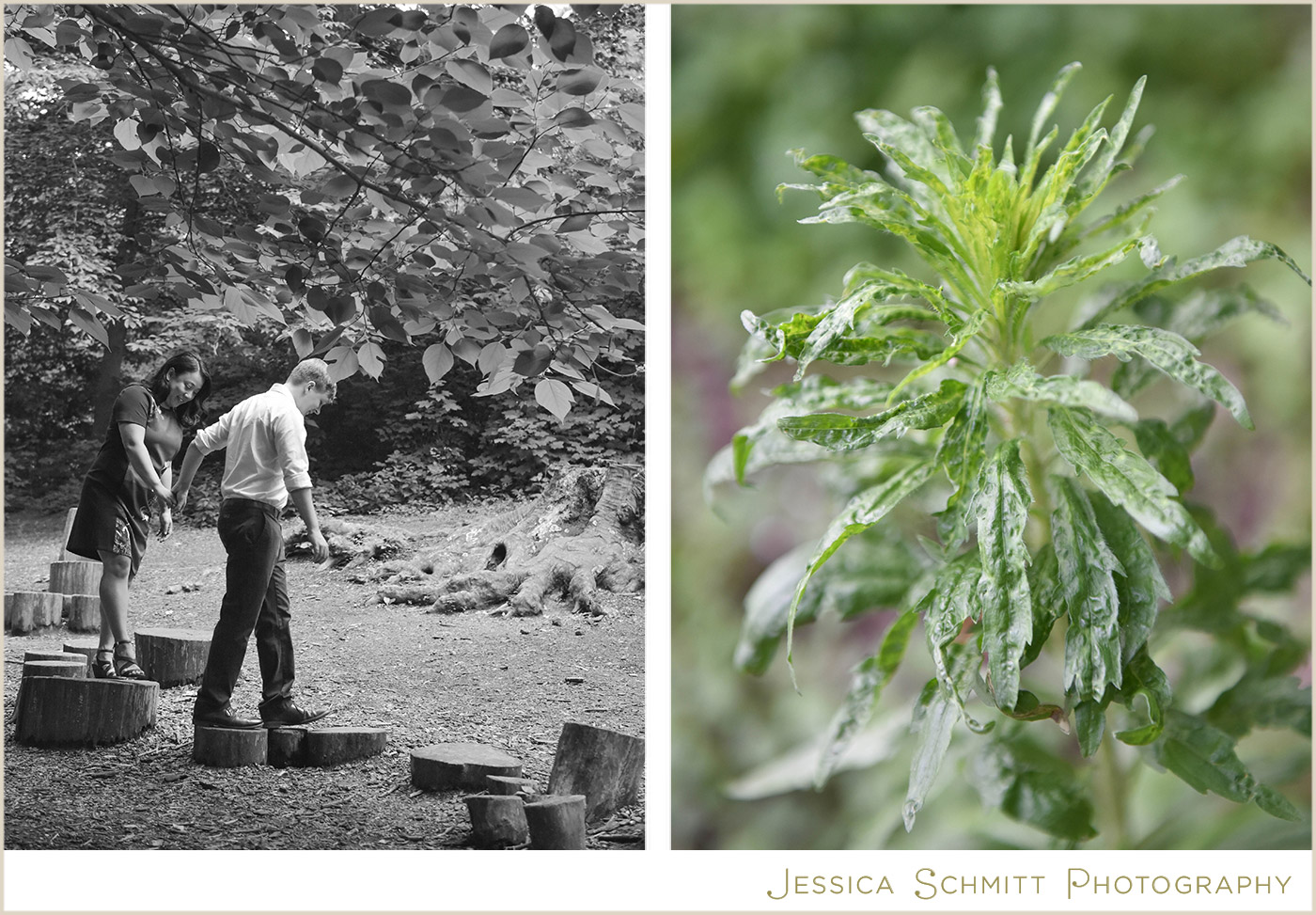 prospect park engagement