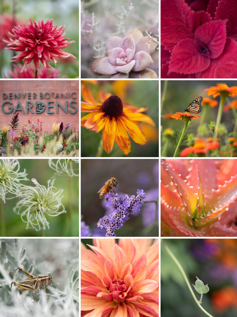 denver botanic garden colorado