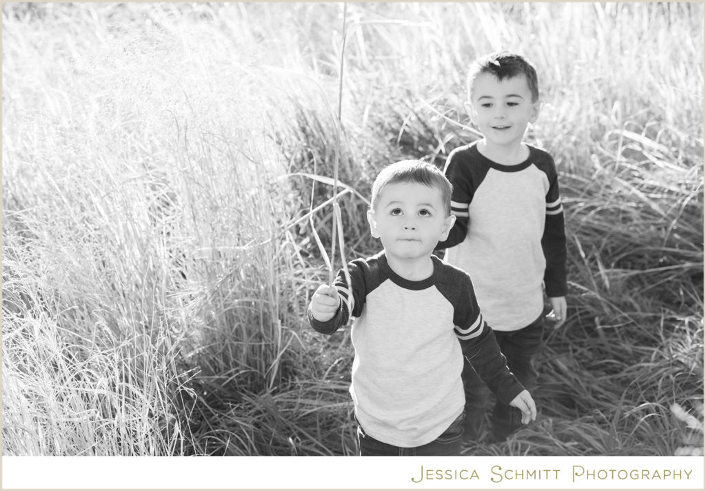 denver family photographer, city park