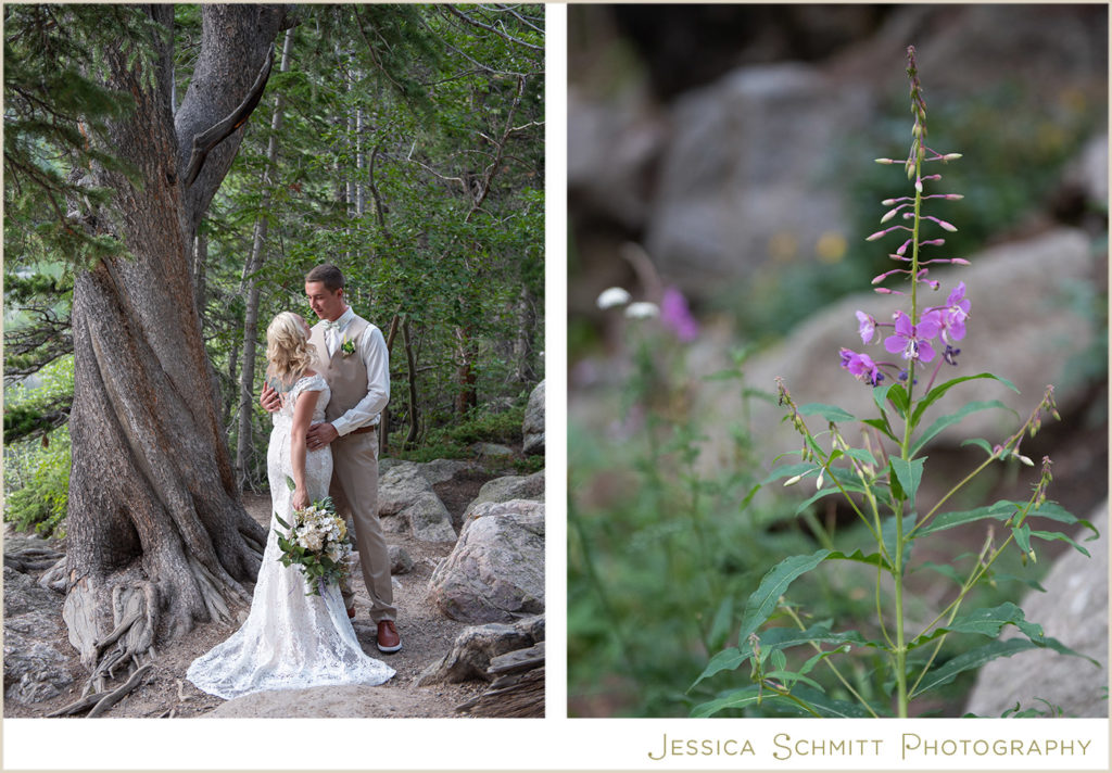 Bear Lake, colorado wedding, RMNP, estes, wedding photographer