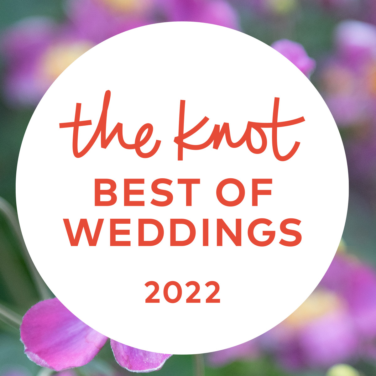the knot best of weddings