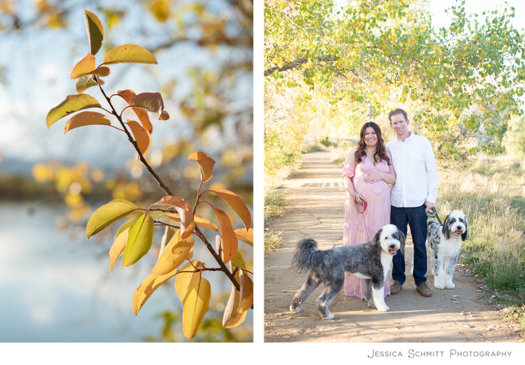 coot lake, boulder, maternity photographer