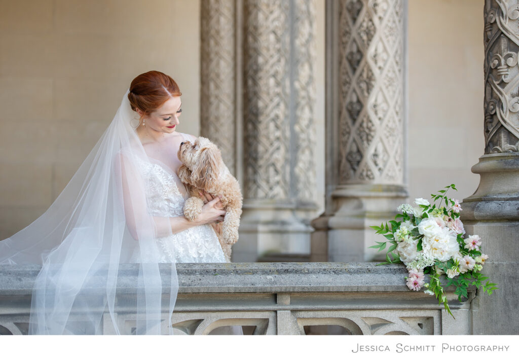 wedding cavapoo