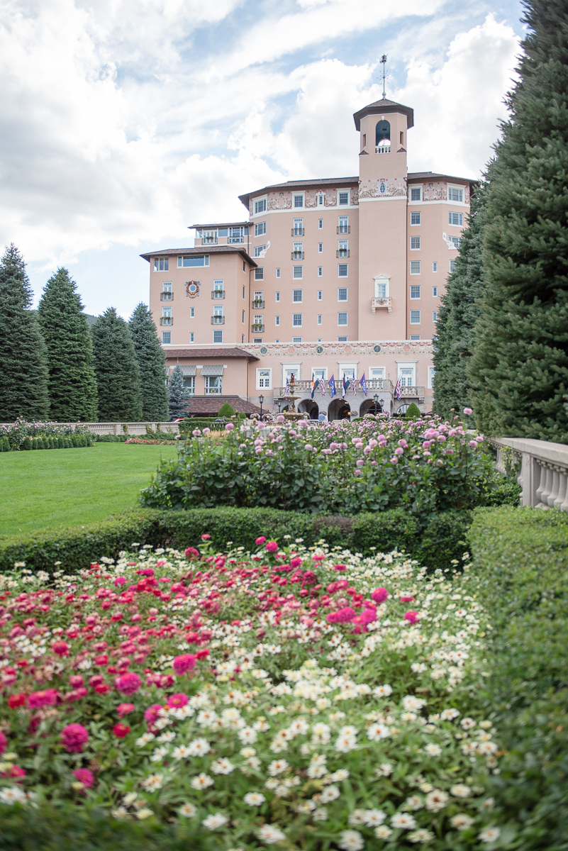 the boradmoor with flowers
