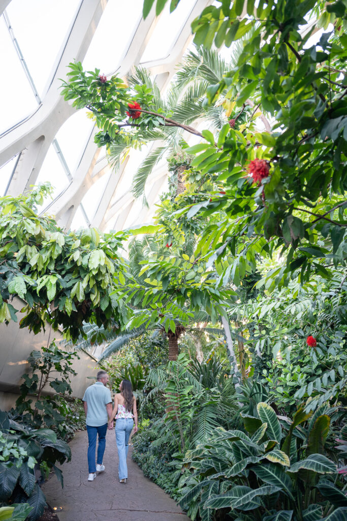 engagement photos at the Denver Botanic Gardens